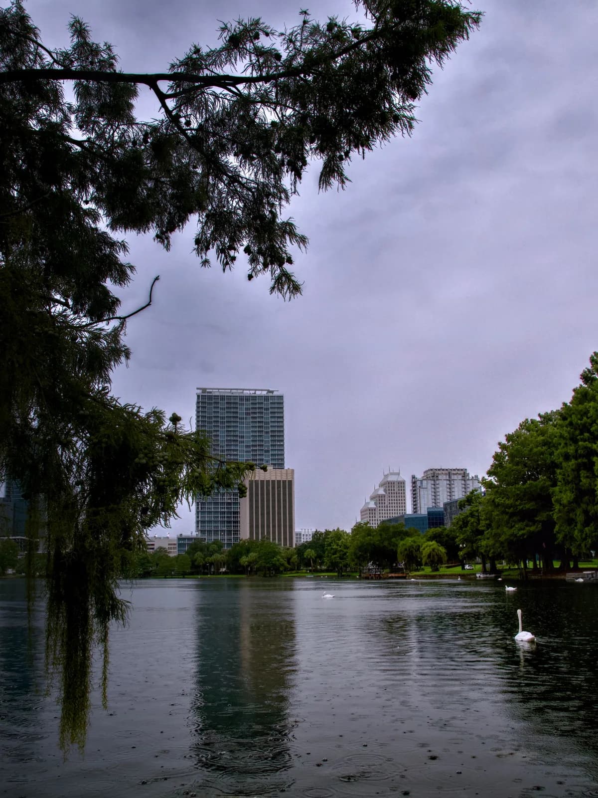 Downtown Orlando seen from Lake Eola Park